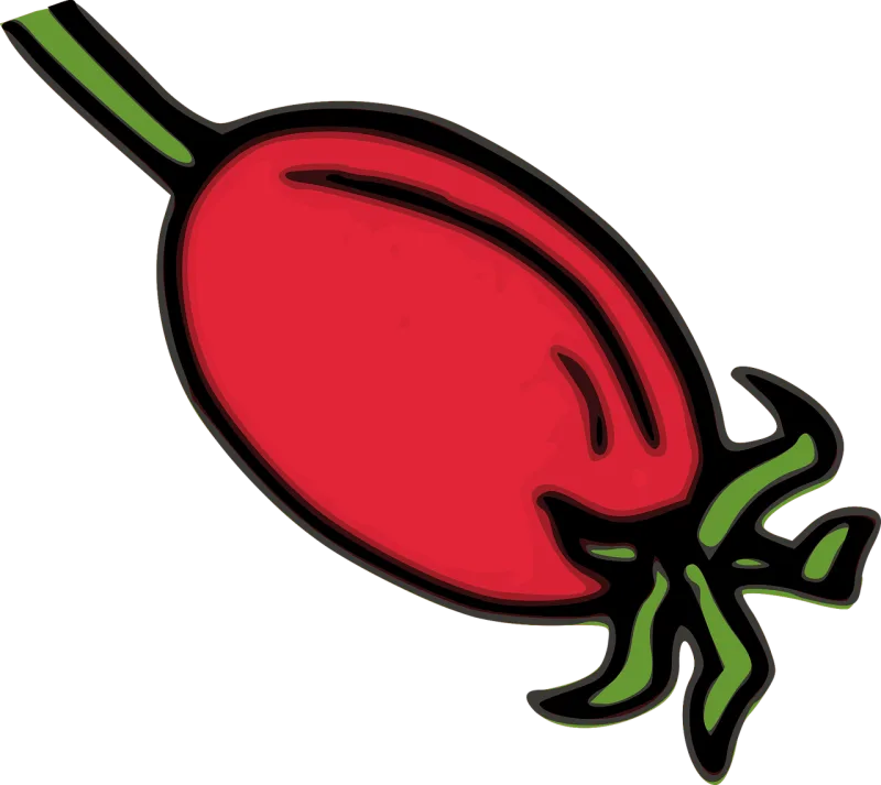 Rose hip Hip Nature Stickdatei – Blumen