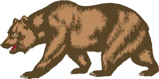 Bear Nature Animal Stickdatei