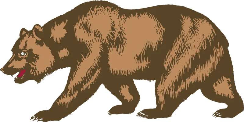 Bear Nature Animal Stickdatei – Tiere