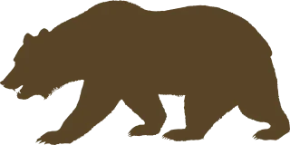 Bear Animal Brown Stickdatei