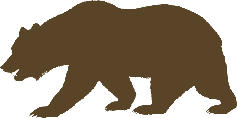 Bear Animal Brown Stickdatei – Tiere
