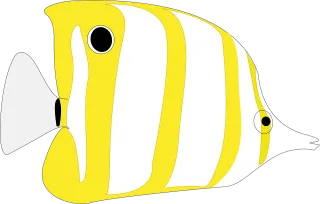 Fish Nature Butterflyfish Stickdatei