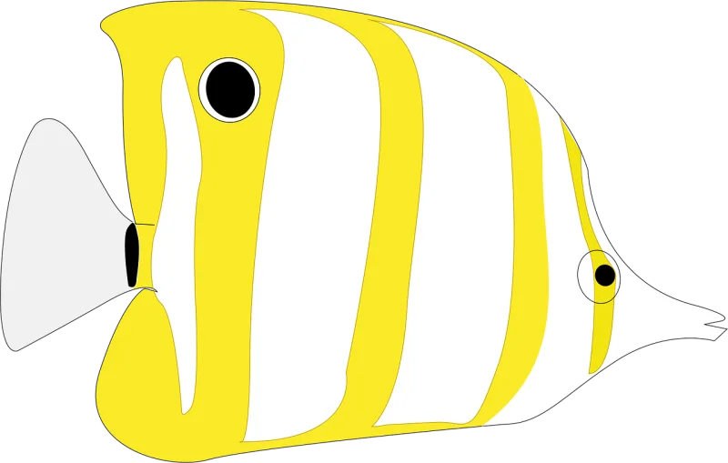 Fish Nature Butterflyfish Stickdatei – Sport