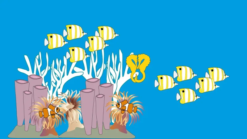 Seabed Fishes Ocean Stickdatei – Tiere