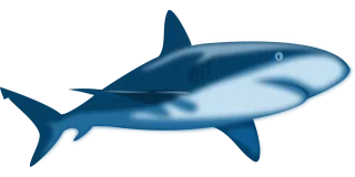 Shark Nature Blue Stickdatei