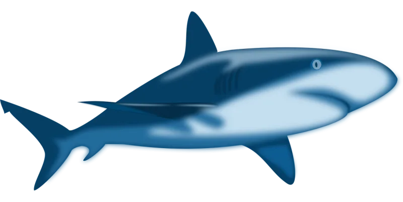 Shark Nature Blue Stickdatei – Sport