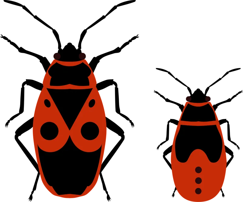 Beetle Bug Firebug Stickdatei – Tiere