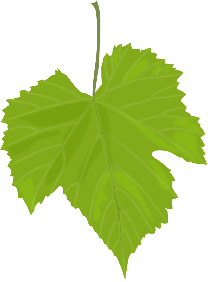 Autumn Fall Grape Stickdatei – Essen & Trinken