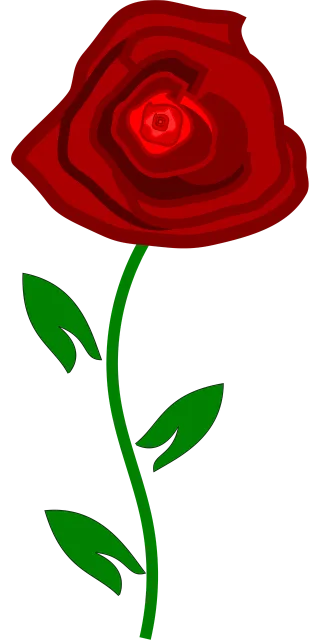 Flower Beautiful flowers Rose Stickdatei