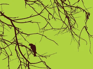 Bird Branches Brown Stickdatei – Natur