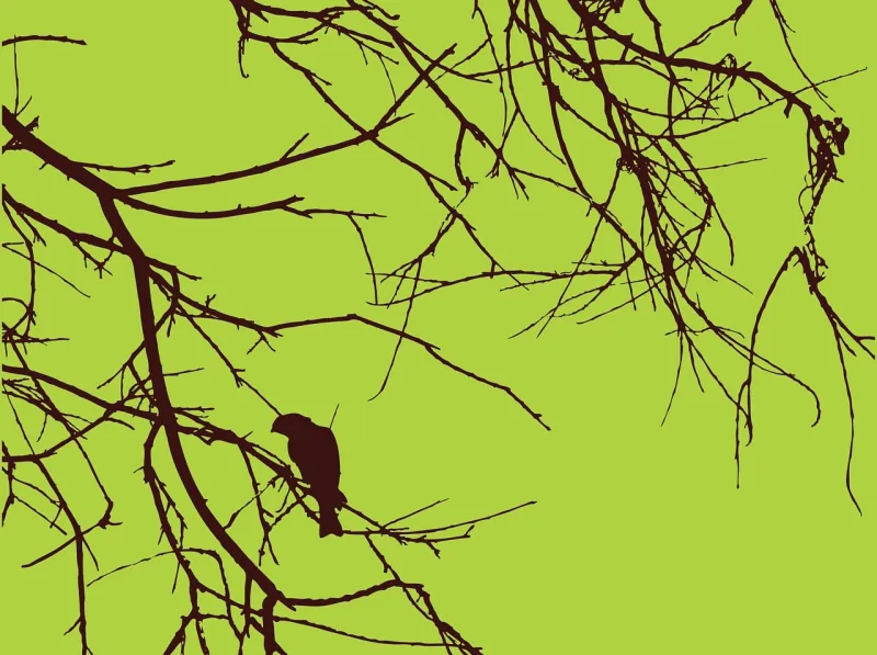 Bird Branches Brown Stickdatei – Natur