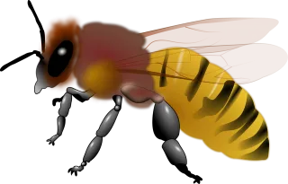 Animal Bee Honey Stickdatei – Tiere