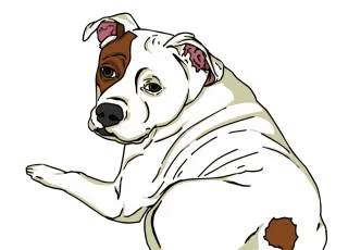 Animal Dog Pet Stickdatei