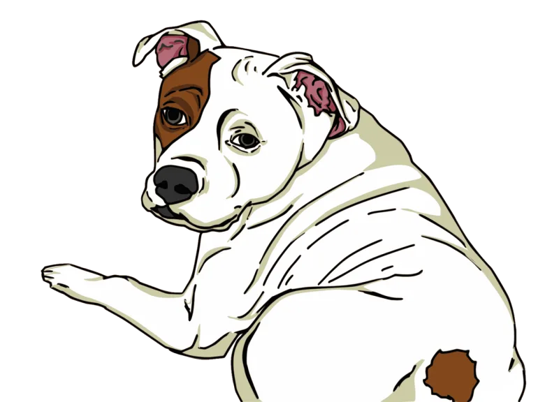 Animal Dog Pet Stickdatei – Tiere