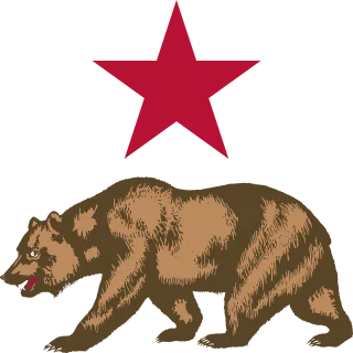 California Bear Star Stickdatei