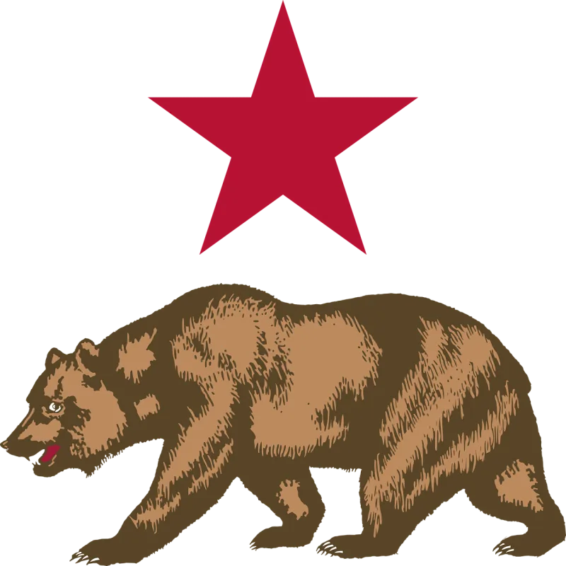 California Bear Star Stickdatei – Weihnachten