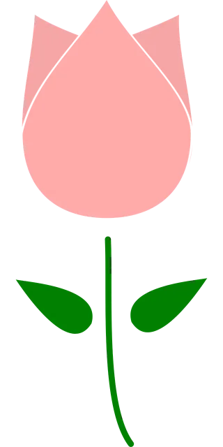 Bud Flower Tulip Stickdatei