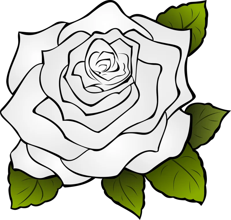 Rose Flower background Flower Stickdatei – Blumen