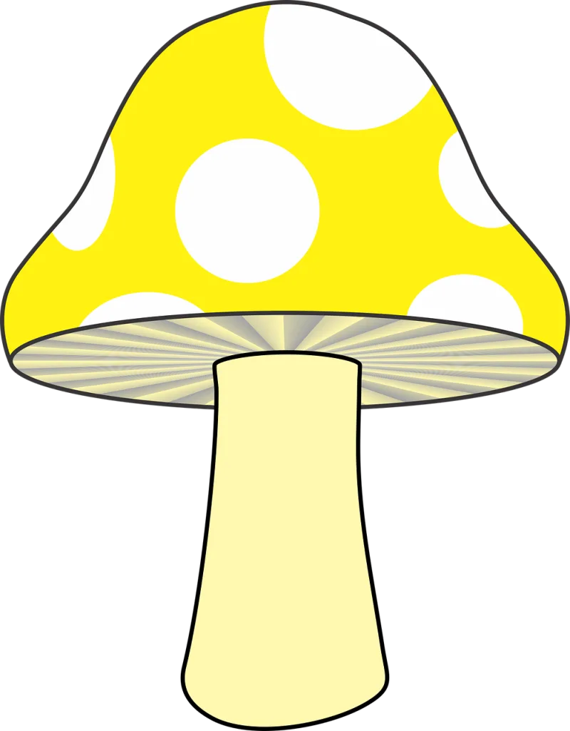 Mushroom Nature Yellow mushroom Stickdatei – Natur