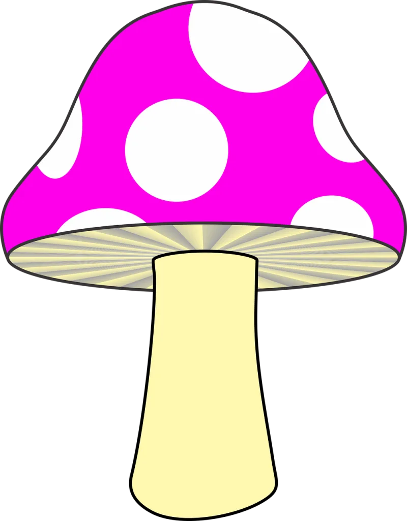 Mushroom Nature Pink mushroom Stickdatei – Natur