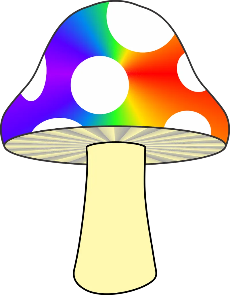 Mushroom Nature Colorful mushroom Stickdatei – Natur