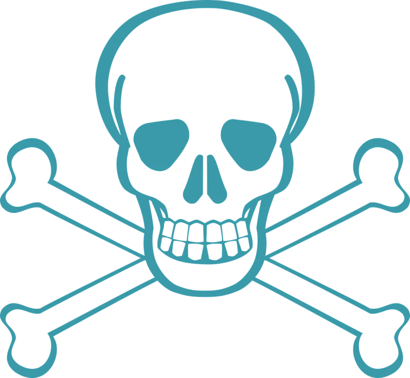 Death's head Skull Skull and crossbones Stickdatei – Kinder