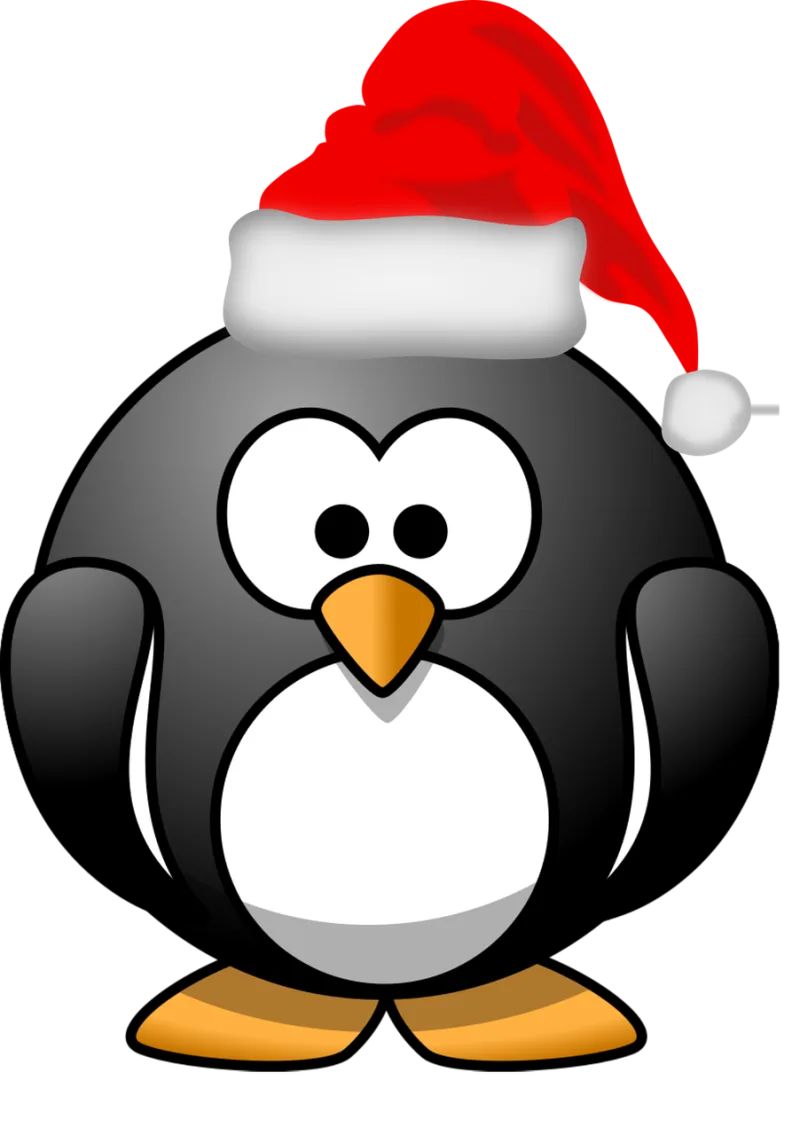 Penguin Xmas Santa claus Stickdatei – Weihnachten