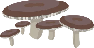 Fungus Mushroom Nature Stickdatei