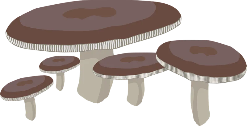 Fungus Mushroom Nature Stickdatei – Natur