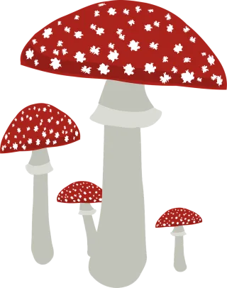 Fly agaric Fungus Mushroom Stickdatei