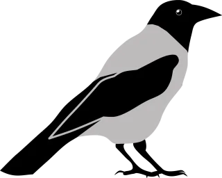 Animal Bird Nature Stickdatei