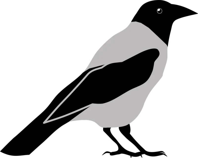 Animal Bird Nature Stickdatei – Tiere