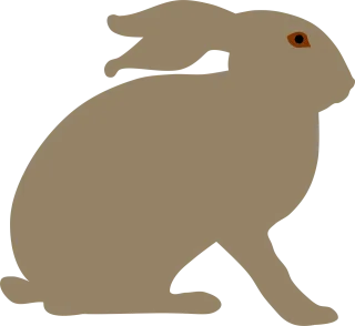 Animal Hare Rabbit Stickdatei