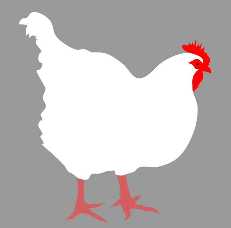 Animal Nature Bird Stickdatei – Tiere