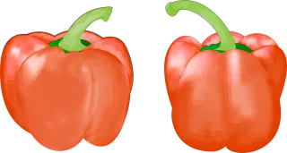 Fruit Vegetable Food Stickdatei