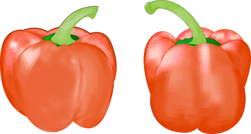 Fruit Vegetable Food Stickdatei – Essen & Trinken