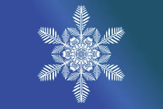 Snow flake Crystal Snow Stickdatei