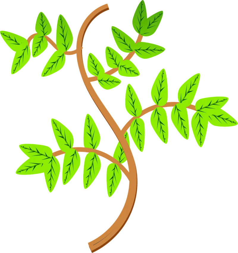 Leaves Nature Branch Stickdatei – Natur