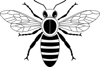 Bee Fly Honey Stickdatei