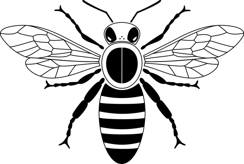 Bee Fly Honey Stickdatei – Tiere
