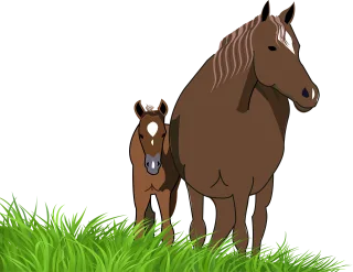Foal Mare Nature Stickdatei
