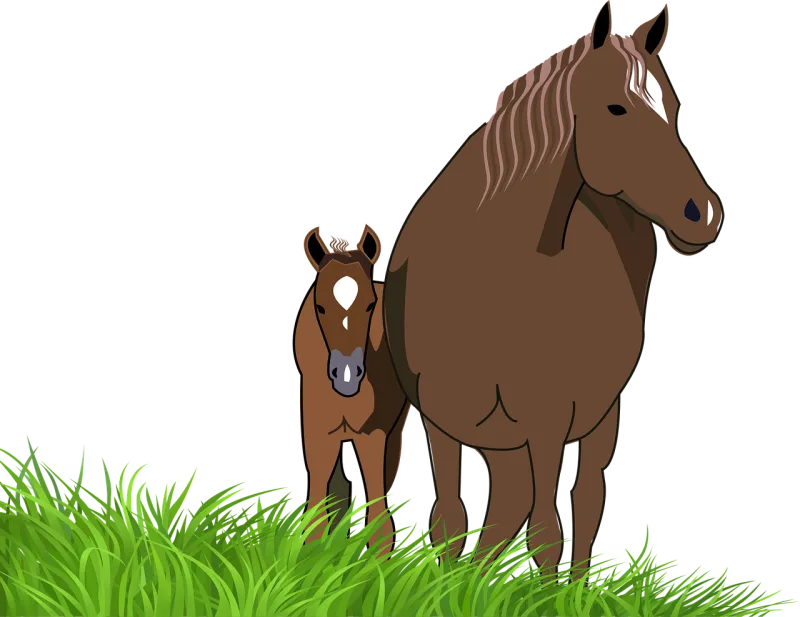 Foal Mare Nature Stickdatei – Tiere