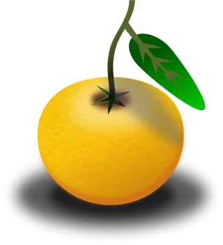 Fruit Juice Orange Stickdatei
