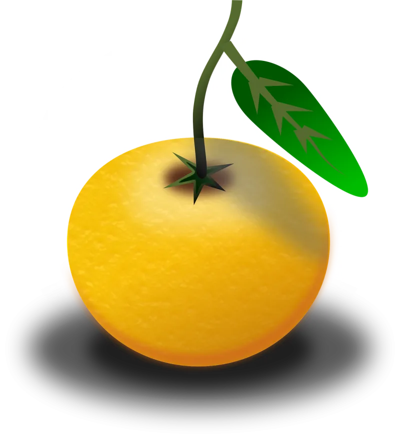 Fruit Juice Orange Stickdatei – Essen & Trinken