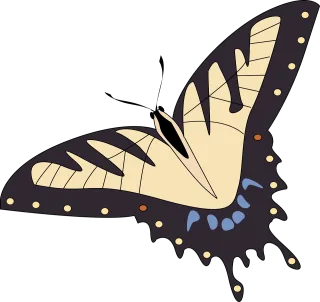 Butterfly Insect Nature Stickdatei