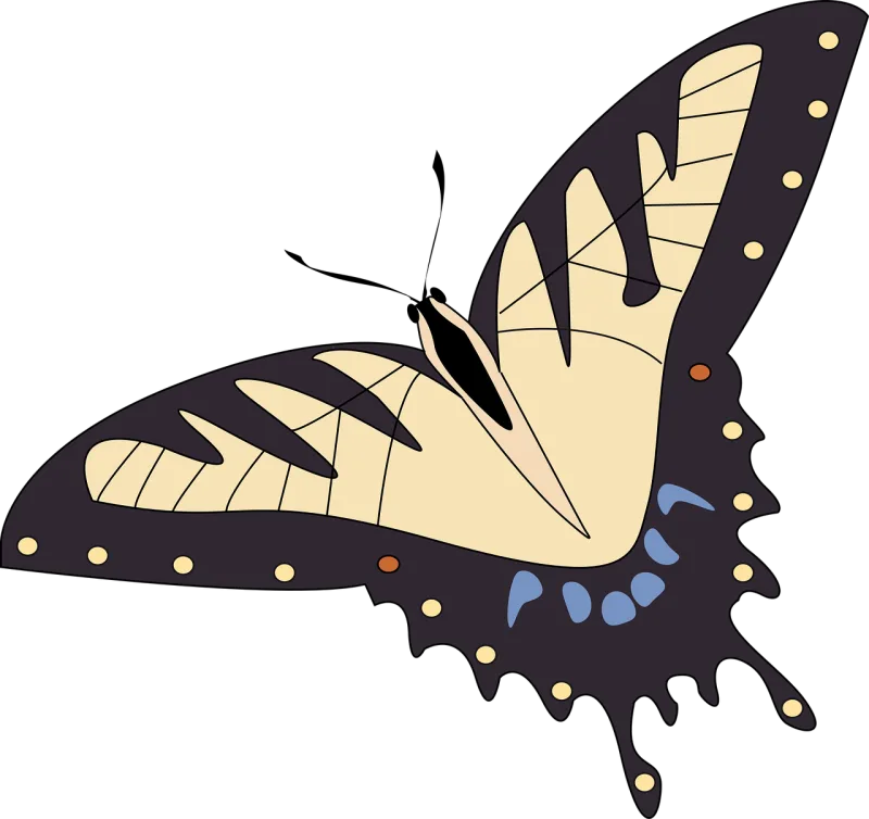 Butterfly Insect Nature Stickdatei – Tiere
