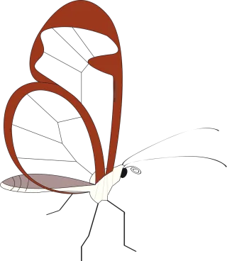 Butterfly Nature Insect Stickdatei
