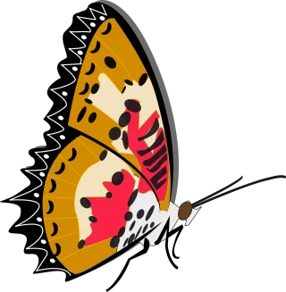 Butterfly Nature Insect Stickdatei – Tiere