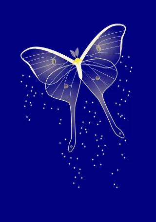 Butterfly Romantic Blue Stickdatei