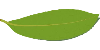 Green Leaf Nature Stickdatei